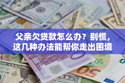 北京父亲欠贷款怎么办?别慌,这几种办法能帮你走出困境 北京父亲欠贷款怎么办?别慌,这几种办法能帮你走出困境